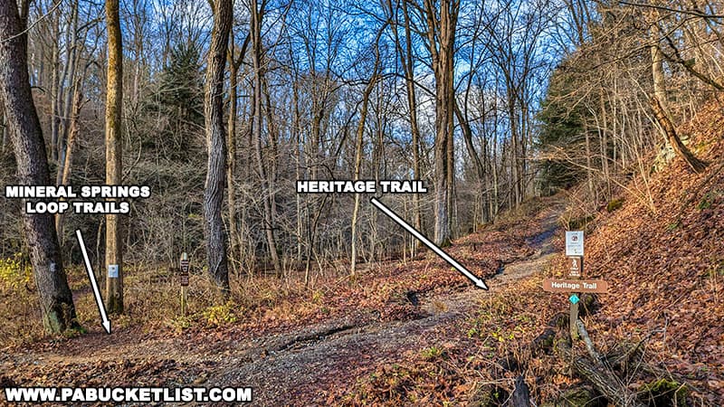 A fork in the trail leading to Frankfort Mineral Springs Falls at Raccoon Creek State Park in Beaver County Pennsylvania.