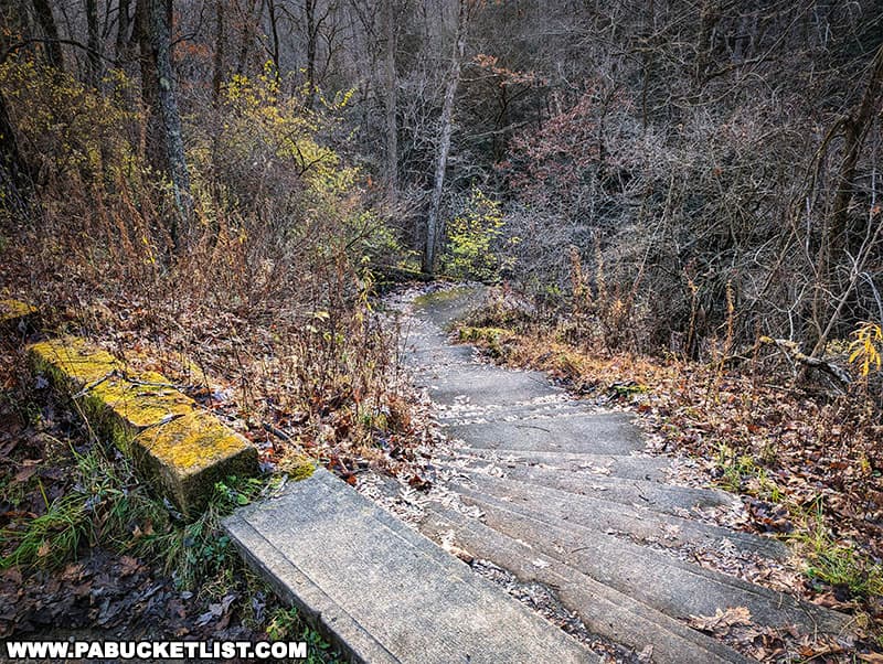 Standing at the top of a staircase that leads to the Frankfort Mineral Springs opposite the waterfall.
