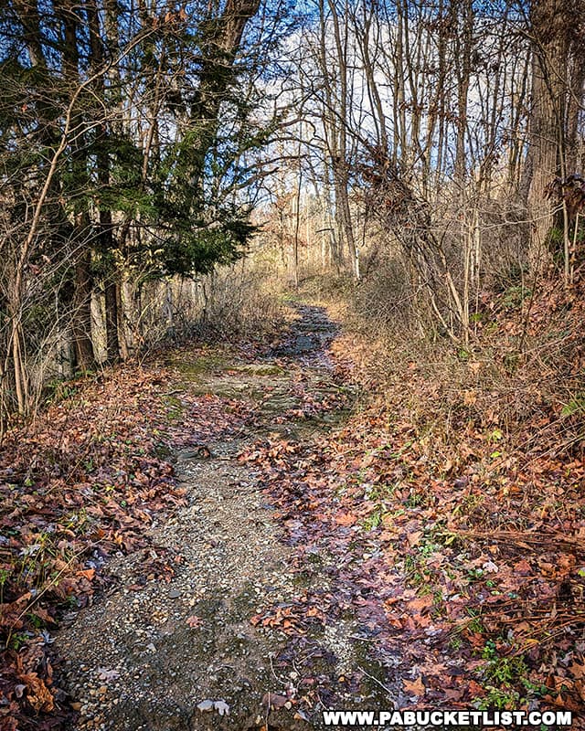 The Heritage Trail at Raccoon Creek State Park follows the remains of the road that once lead to the Frankfort House health spa near the mineral springs.