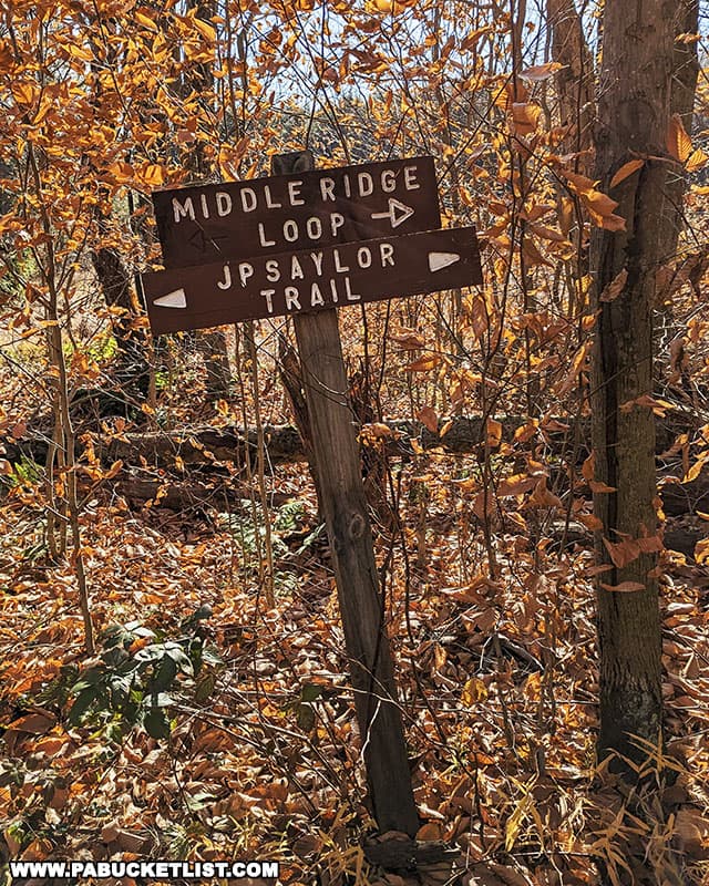 Sign at the intersection of the Fishermans Path and the John P Saylor Trail in the Gallitzin State Forest.