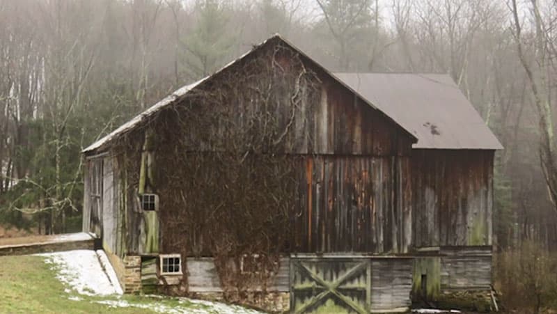 The Thomas Road Farm in Westmoreland County was a filming location for the Netflix movie The Pale Blue Eye.