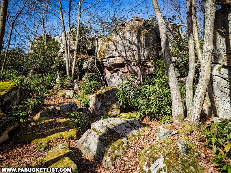 Moss covered boulders at Wolf Rocks in the Gallitzin State Forest.