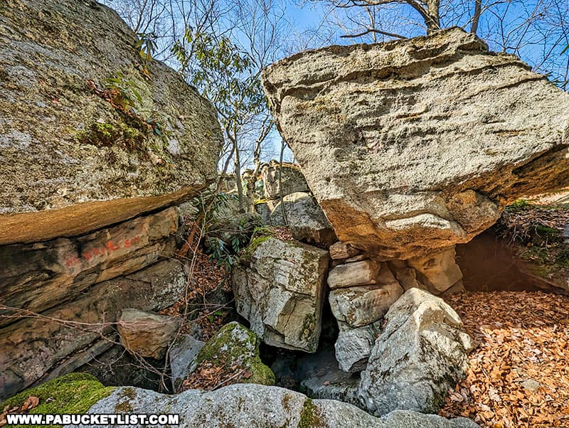 Wolf Rocks in the Gallitzin State Forest contains many crevasses and small caves.
