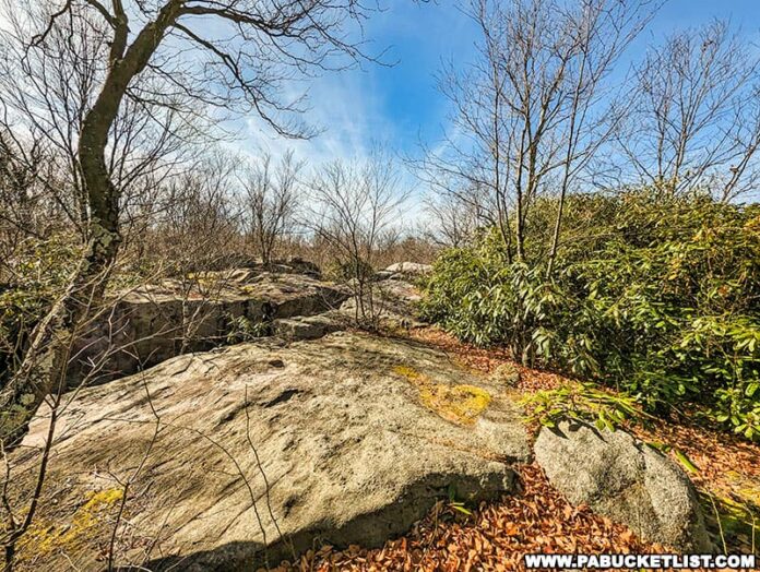 Exploring Wolf Rocks in the Gallitzin State Forest PA Bucket List