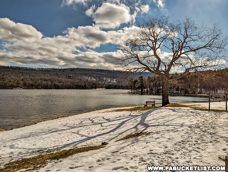 A tree casts a long winter shadow along Hobie's Trail at Colyer Lake near State College Pennsylvania.