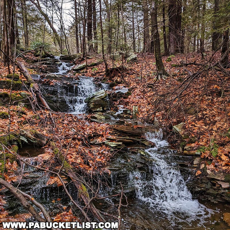 Small cascades on Maple Spring Run just below the Old Beaver Dam Road Trail at Ricketts Glen State Park.
