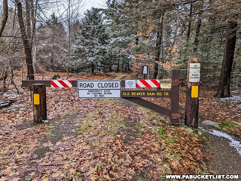 The Old Beaver Dam Road trailhead along Route 487 at Ricketts Glen State Park.
