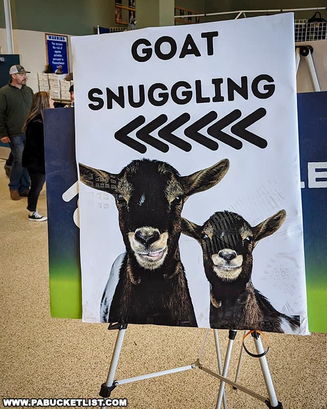 Baby goat snuggling is a popular children's attraction at the Pennsylvania Farm Show in Harrisburg.