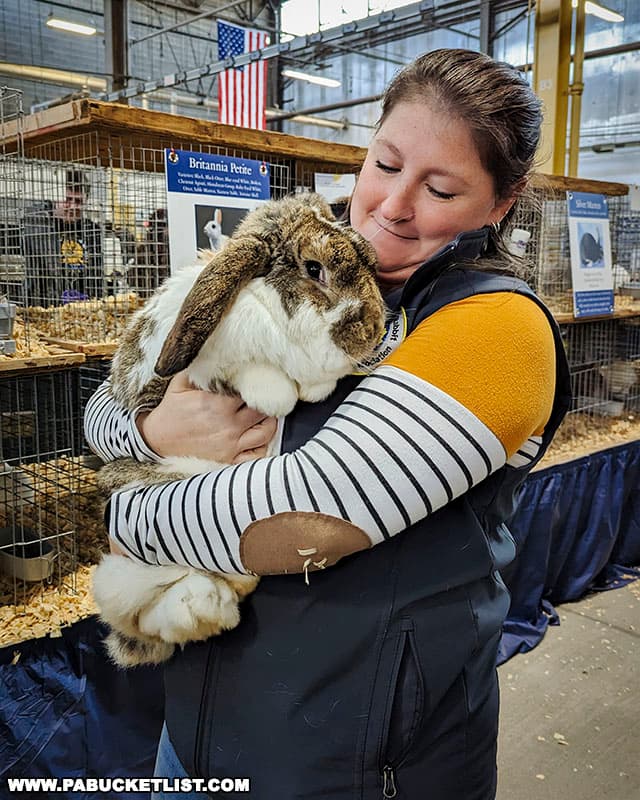 Rabbits on display at the Pennsylvania Farm Show in Harrisburg.