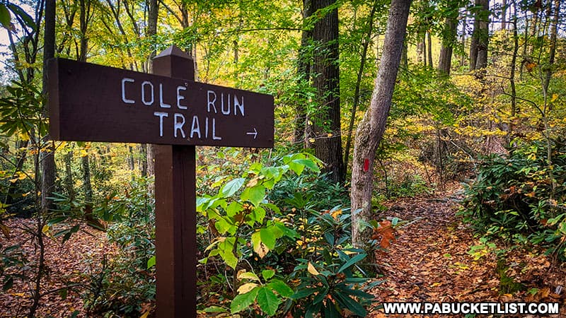 The Cole Run Falls Trail in the Forbes State Forest.