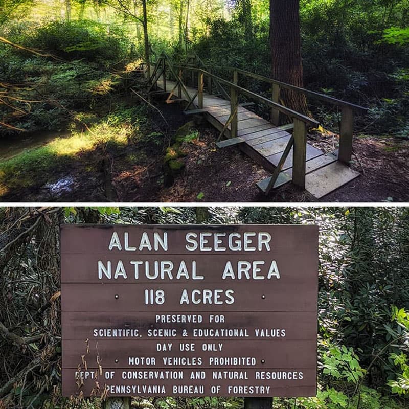 The Alan Seeger Trail is a 0.8 mile loop hike through the Alan Seeger Natural Area near State College.
