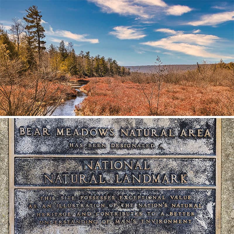 Bear Meadows Natural Area near State College is a National Natural Landmark.