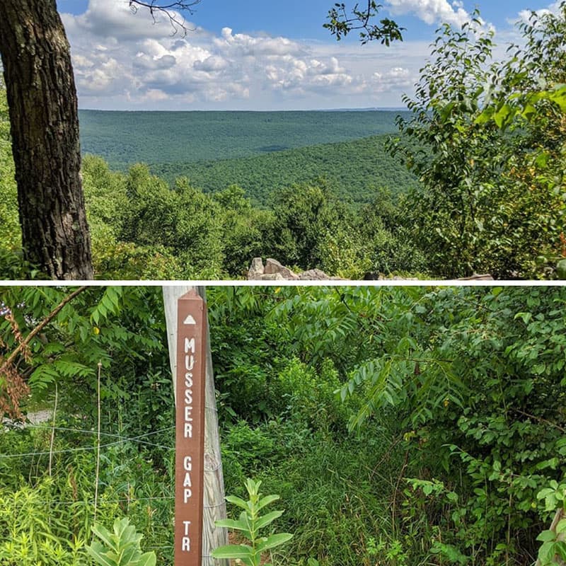 The hike along the Musser Gap Trail to Hubler Gap Vista is one of the best strenuous hikes near State College.