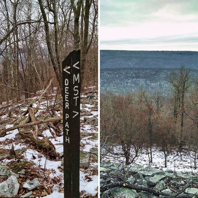 The 20 Best Hiking Trails Near State College PA Bucket List