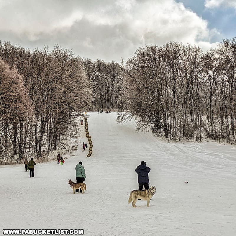 The Sugarloaf sledding area at Ohiopyle State Park during Winterfest in 2022.