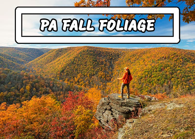 Where to find the best fall foliage view in Pennsylvania.