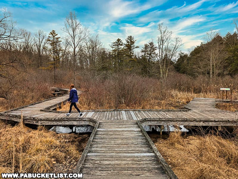 Boardwalk along the Lake Trail at Shaver's Creek Environmental Center near State College Pennsylvania.