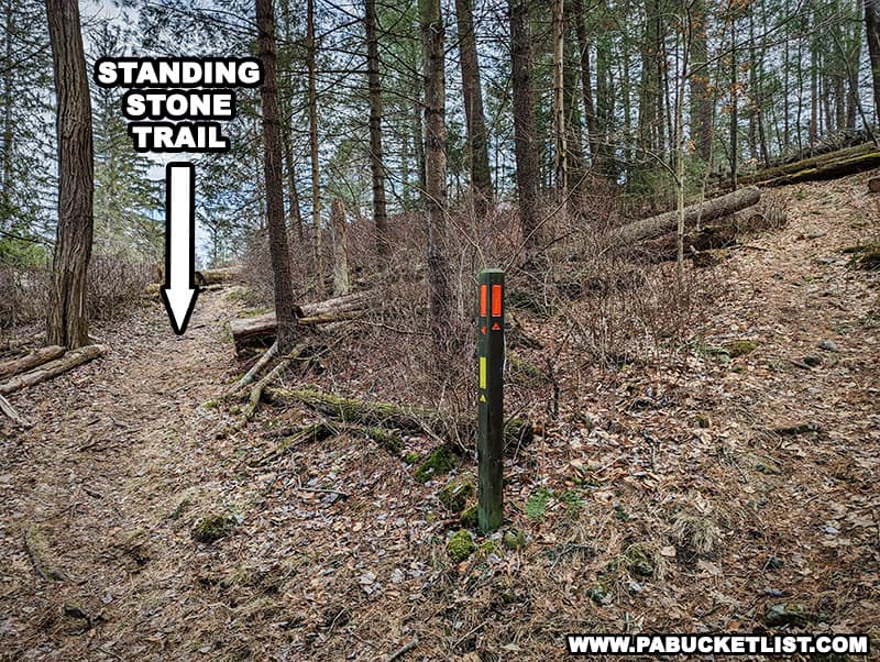 Be sure to follow the orange-blazed Standing Stone Trail when hiking to Stone Valley Vista.