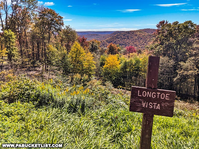 Longtoe Vista is an excellent daytime attraction along Route 44 near Cherry Springs State Park.