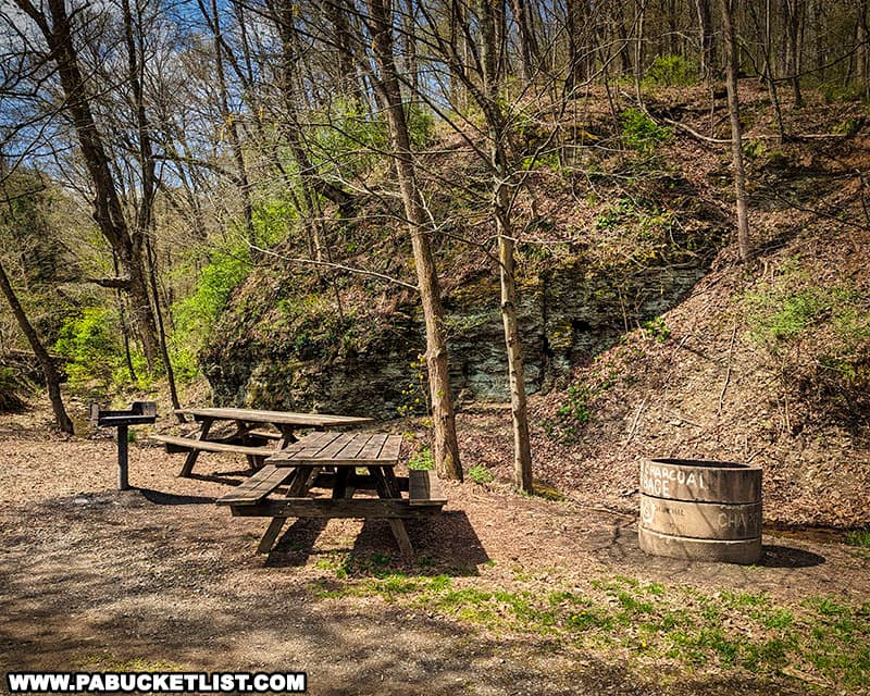 Picnicking at Raccoon Creek State Park in Beaver County Pennsylvania.