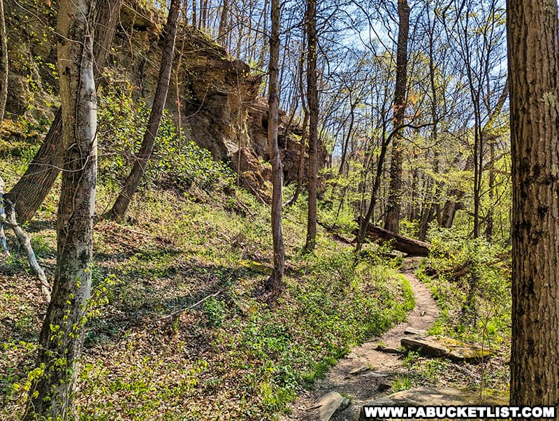 Jennings Trail is the longest trail in the Wildflower Reserve at Raccoon Creek State Park, at 1.54 miles.