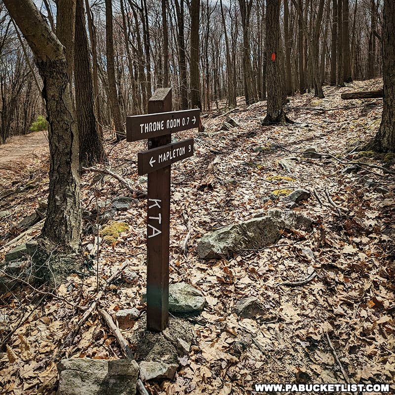 The Standing Stone Trail ascends from the forest road for 0.7 miles before reaching the Throne Room.