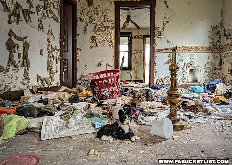 Many residents left Yellow Dog Village so hastily that they abandoned numerous personal items.
