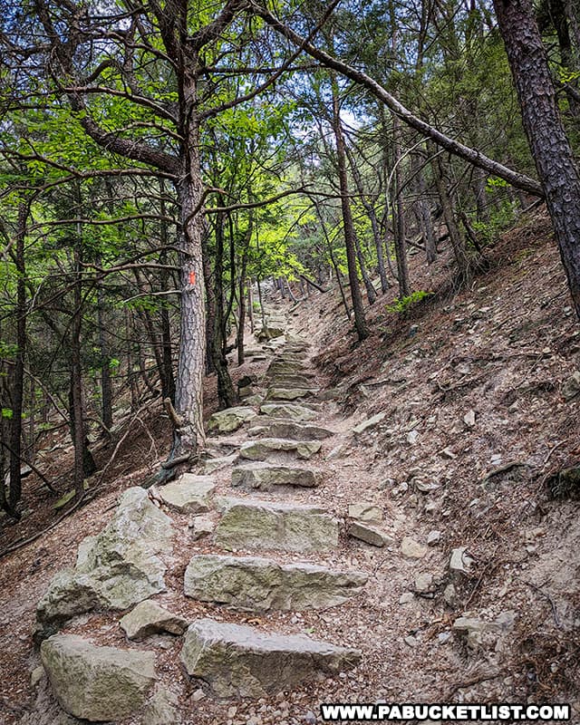 A section of the 1000 Steps along the Standing Stone Trail in Huntingdon County Pennsylvania.