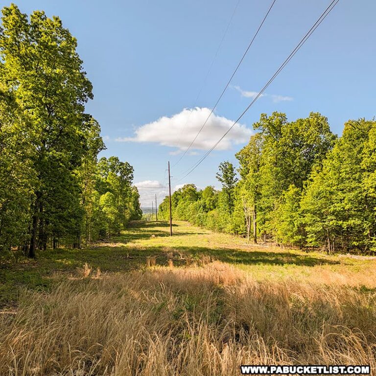 Hiking the Cliffs Trail in Huntingdon County PA Bucket List