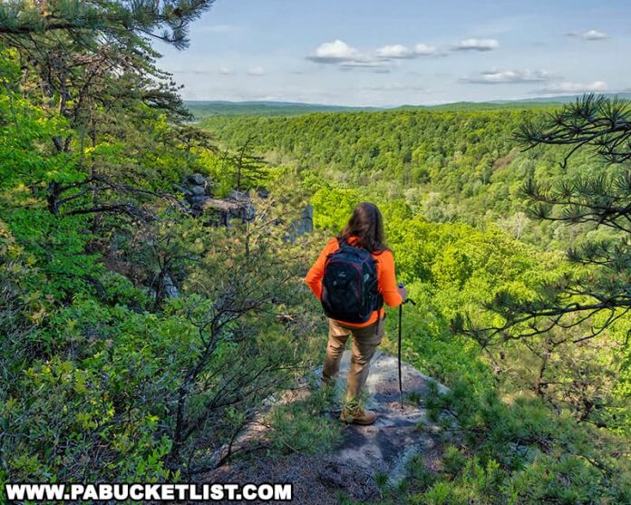 Hiking the Cliffs Trail in Huntingdon County PA Bucket List