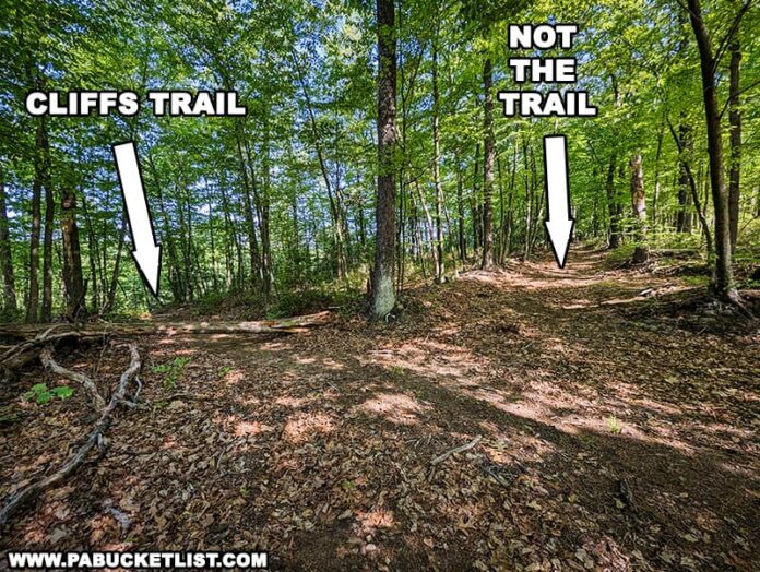 Hiking the Cliffs Trail in Huntingdon County PA Bucket List