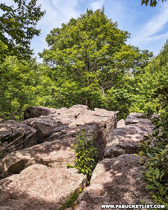 Baughman Rocks on Mount Davis in Somerset County Pennsylvania.