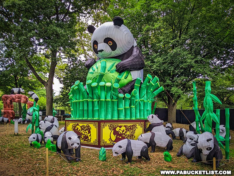 A giant panda lantern in Franklin Square during the Chinese Lantern Festival in Philadelphia Pennsylvania.