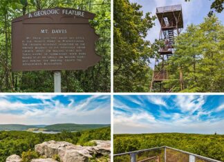 Exploring Mount Davis in Somerset County, the highest point in Pennsylvania.