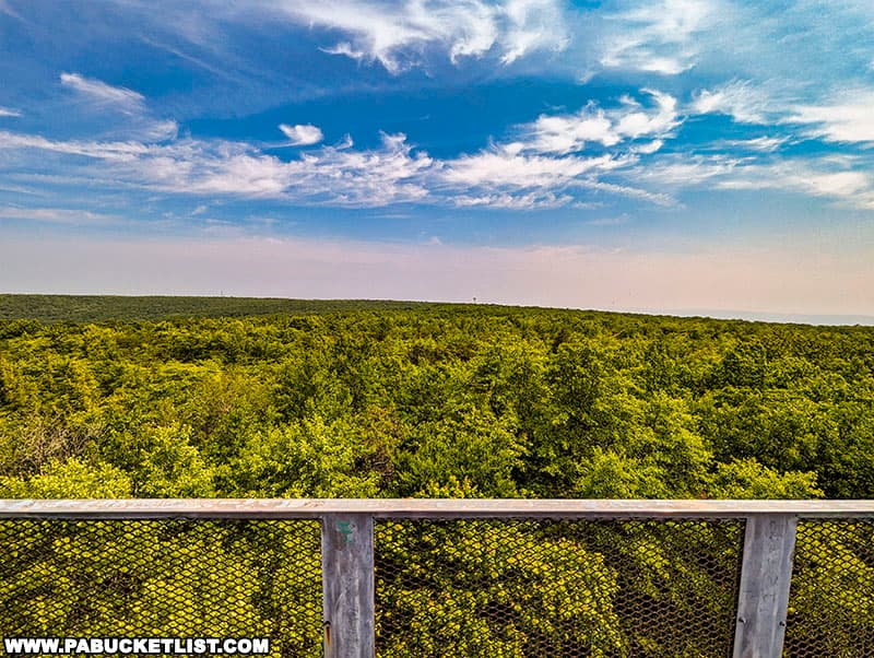 View to the northeast from the Mount Davis observation tower at Pennsylvania's highest point.
