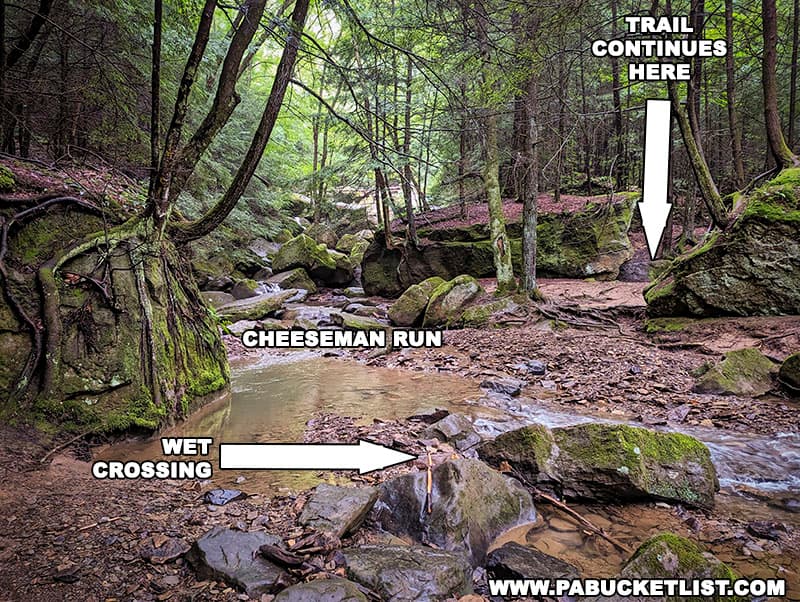 The Breakneck Falls Trail makes a wet crossing of Cheeseman Run at a shallow spot downstream from the falls.