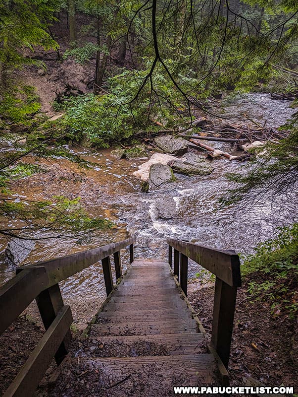 Stairs leading to the base of Hell's Hollow Falls.