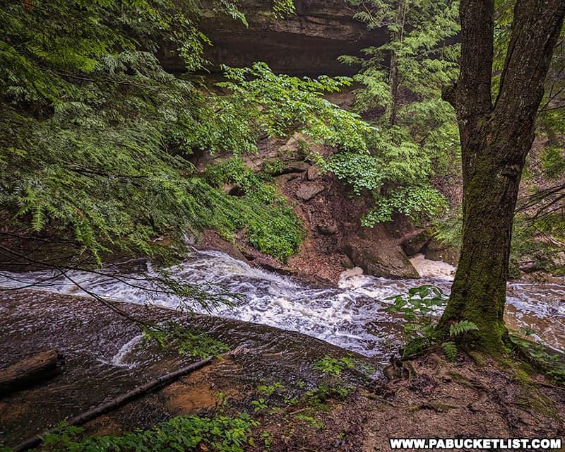 View of the top of Hell's Hollow Falls.