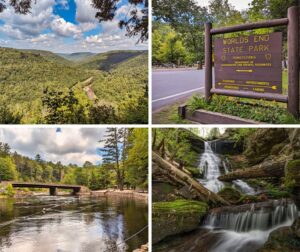 The best things to see and do at Worlds End State Park in Sullivan County PA.