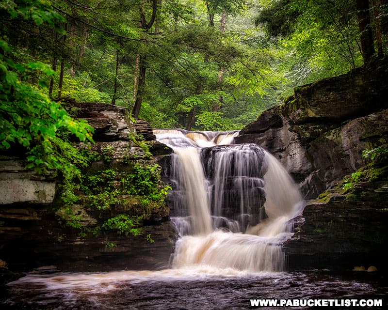 Murray Reynolds Falls at Ricketts Glen State Park.