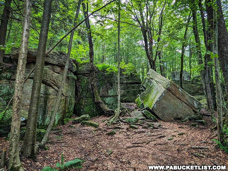 The boulders that form the Rock Garden at Worlds End State Park are part of the Pottsville Formation dating back roughly 300 million years to the Pennsylvanian geologic period.