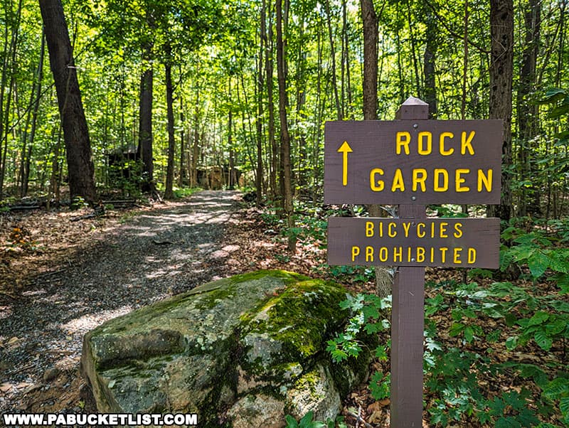 The Rock Garden at Worlds End State Park is located directly across from Loyalsock Canyon Vista.