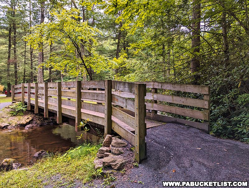 The land that comprises Sand Bridge State Park was purchased by the state in 1905 as part of the White Deer State Forest District.