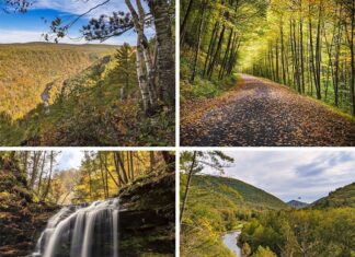 Where to find the best fall foliage views in the PA Grand Canyon.