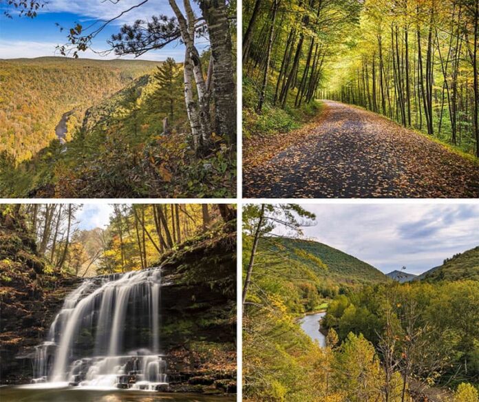 Where to find the best fall foliage views in the PA Grand Canyon.