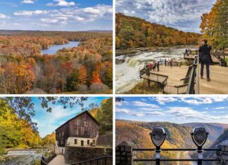 The best Pennsylvania State Parks for fall foliage viewing.