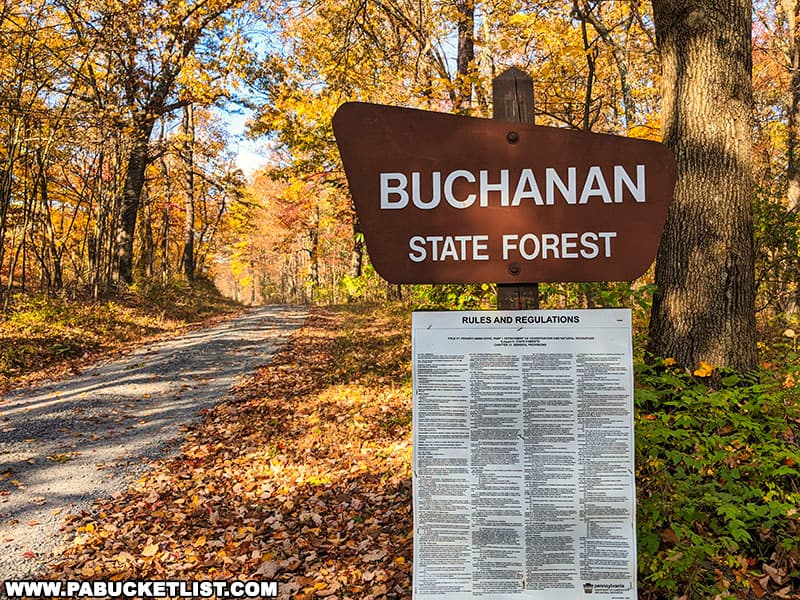 Buchanan State Forest sign along Summit Road in Fulton County Pennsylvania.