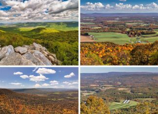 Exploring the best scenic overlooks in the Buchanan State Forest in Pennsylvania.
