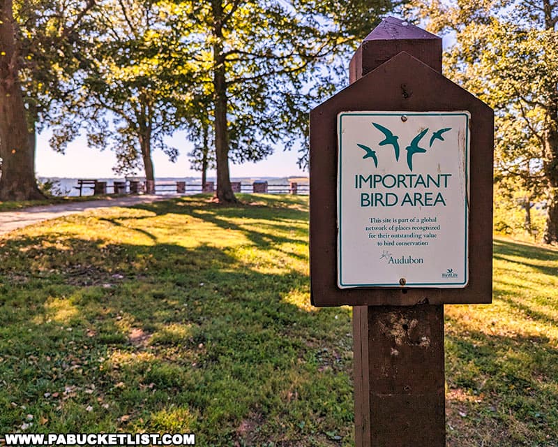 Hawk Point Overlook at Susquehannock State Park in Lancaster County Pennsylvania has been designated at Important Bird Area by the Audubon Society.