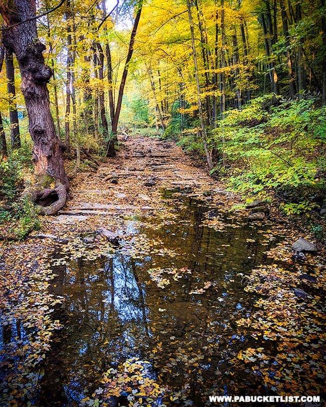 Fall foliage along Hell Run at McConnell's Mill State Park.